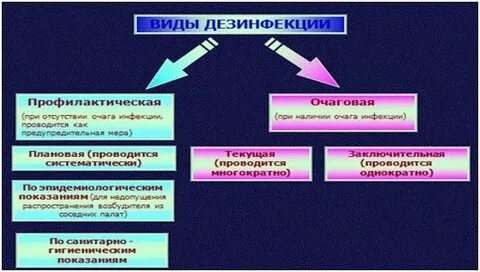 Выберите виды дезинфекции