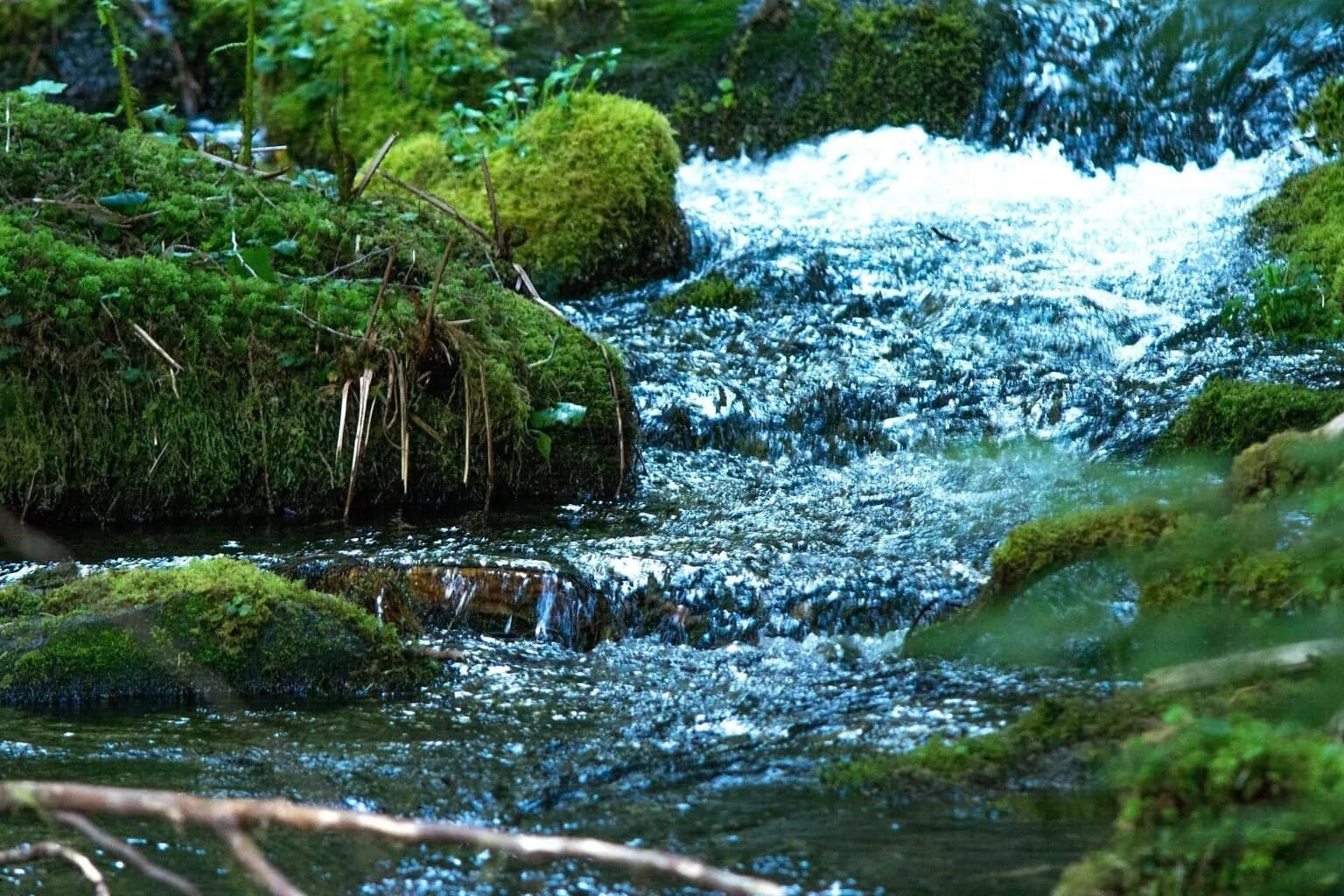 Течение воды. Жидкая вода в природе речка. Картинки для детей море река ручей. Вдохновение мох у воды Алтайский. Лишняя вода природа.