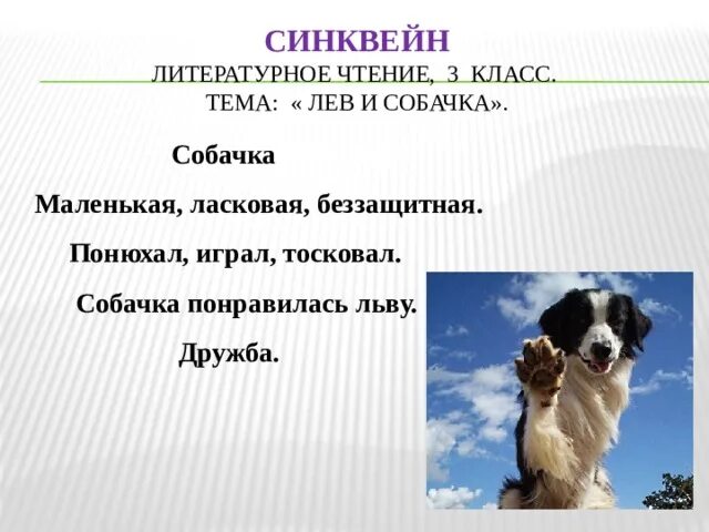 Литература лев и собачка. Сочетаемость слова собака. Собачка 3 класс. Собачка 3 класс. Фразеологизмы со словом собака.