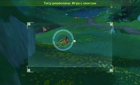 Тигр ришболанд геншин