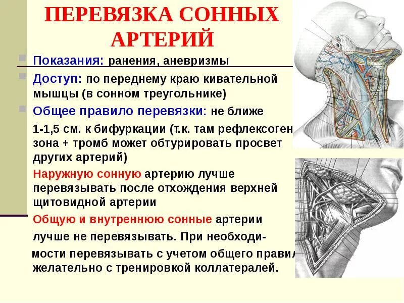 Топография органов шеи топографическая анатомия. Доступ к общей сонной артерии. Доступ к наружной сонной артерии. Оперативные доступы к общей сонной артерии.