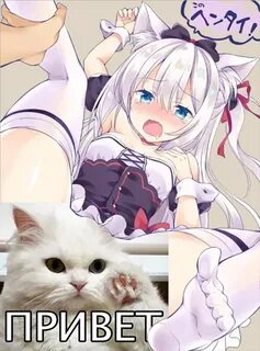 Дайте фулл