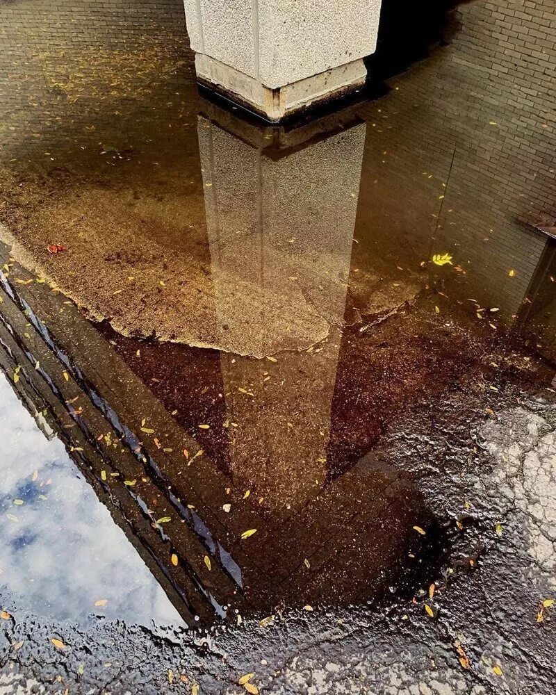 Грязная лужа. Дождь лужи. Красота в луже. Отражение в луже. Лужи после дождя.