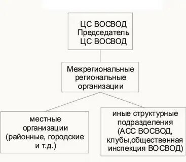Социально ориентированная общественная организация