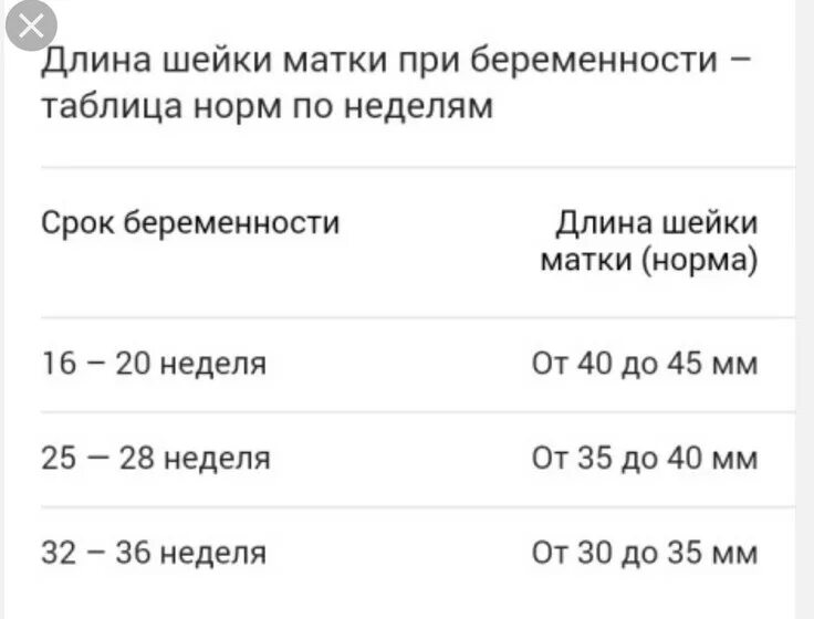 Беременность 31 неделя шейка норма. Шейка матки при беременности норма. норма шейки матки по неделям беременности. норма длины шейки матки при беременности по неделям. размеры шейки матки в норме при беременности.