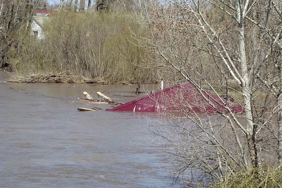 Погода рп5 курья алтайский курьинский. Наводнение в Курье. Унесло в реку дом. Курья (Курьинский район). Речка Сидоровка Курья Алтай.