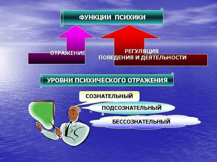 Тема поведение и психика. Основные функции психики: отражение и регуляция деятельности.. Уровни отражения психики. Функции психической деятельности человека. Психическая регуляция поведения.