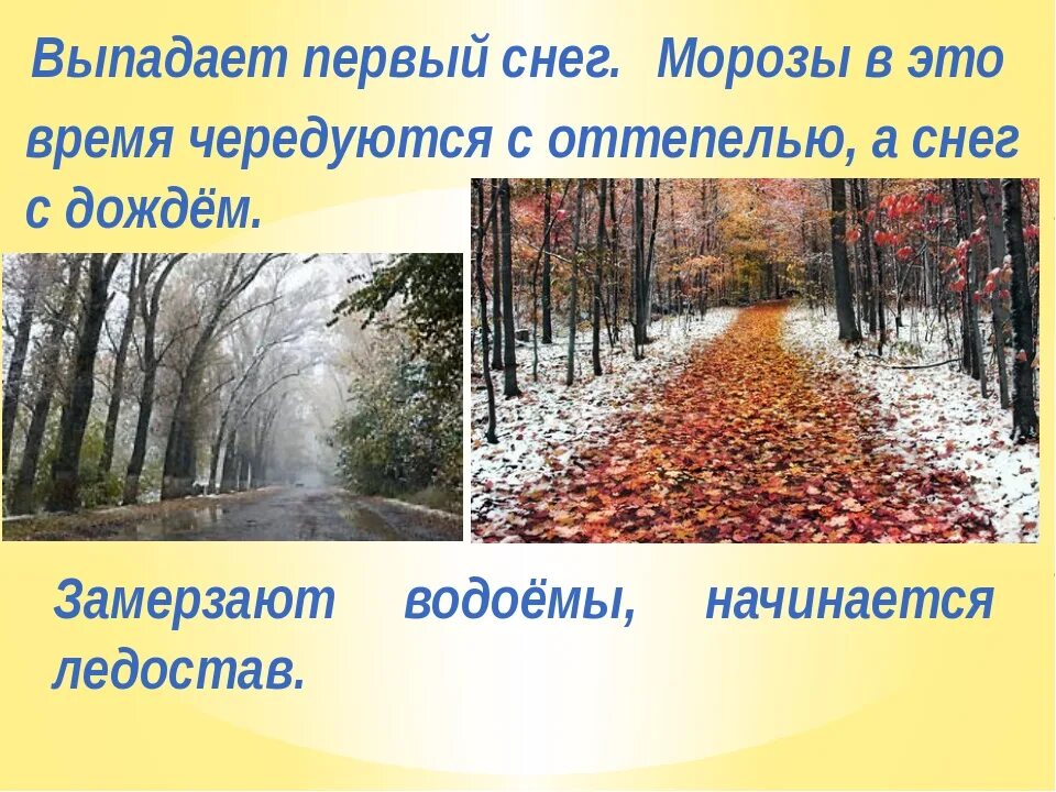 Сезонные явления осенью. Осенние изменения в природе презентация. сезонные изменения в живой природе. сезонные изменения в неживой природе осенью. презентация природа в ноябре.