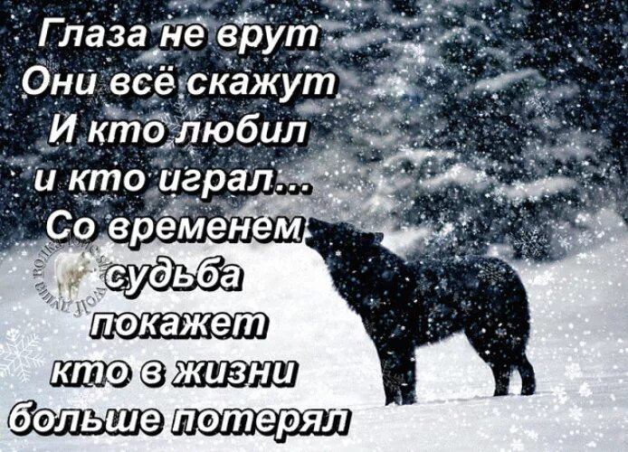 Глаза не врут стихи. Глаза не врут они все скажут стихи. Глаза не врут цитаты. Кто нас не захотел стих.