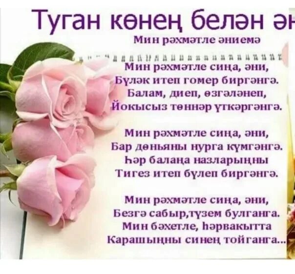Туган конен кыз балага