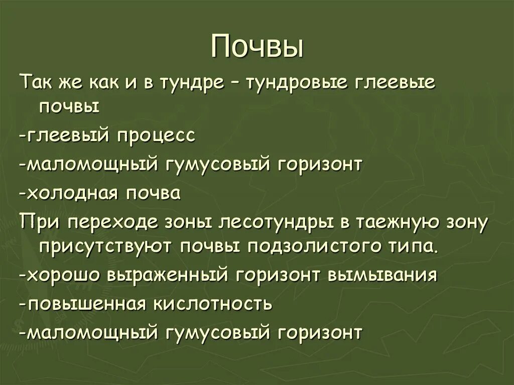 Лесотундра. Факторы лесотундры. Береза в лесотундре. Факторы лесотундры. Природные условия лесотундры.