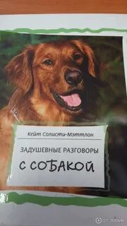 Разговор собак