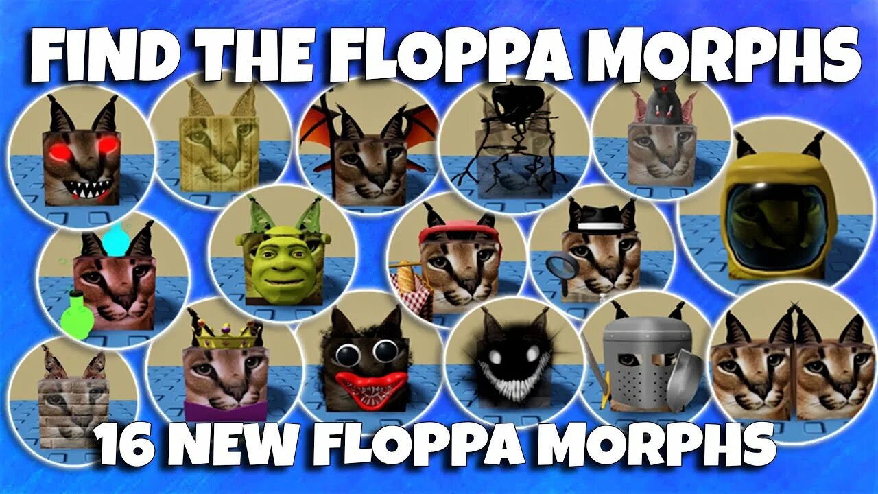 Find the floppa morphs. Floppa roblox. floppa morphs roblox. find the morphs roblox.