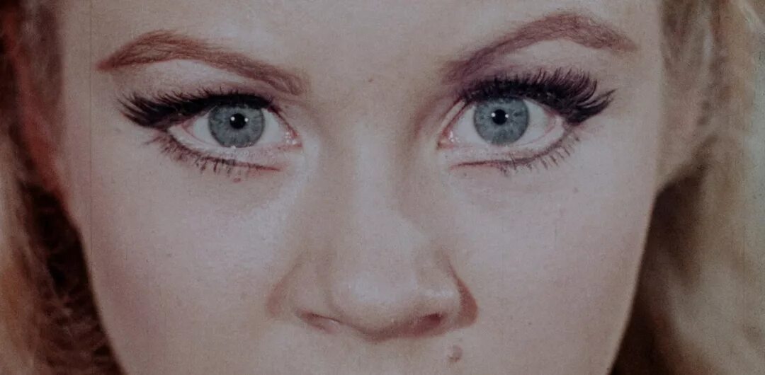 Something weird video. Something weird westen. Something weird. Something weird video. Something weird.