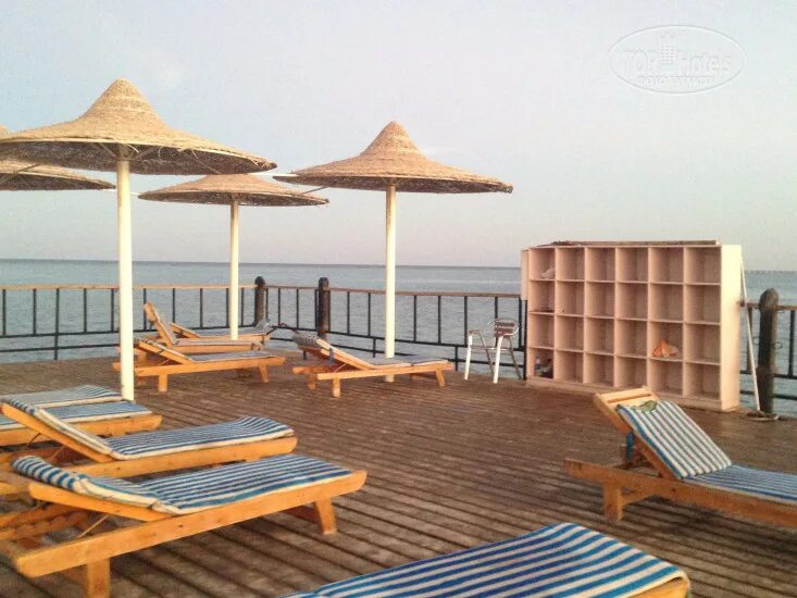 Stella di mare garden spa. Египет хургада stella makadi gardens resort.