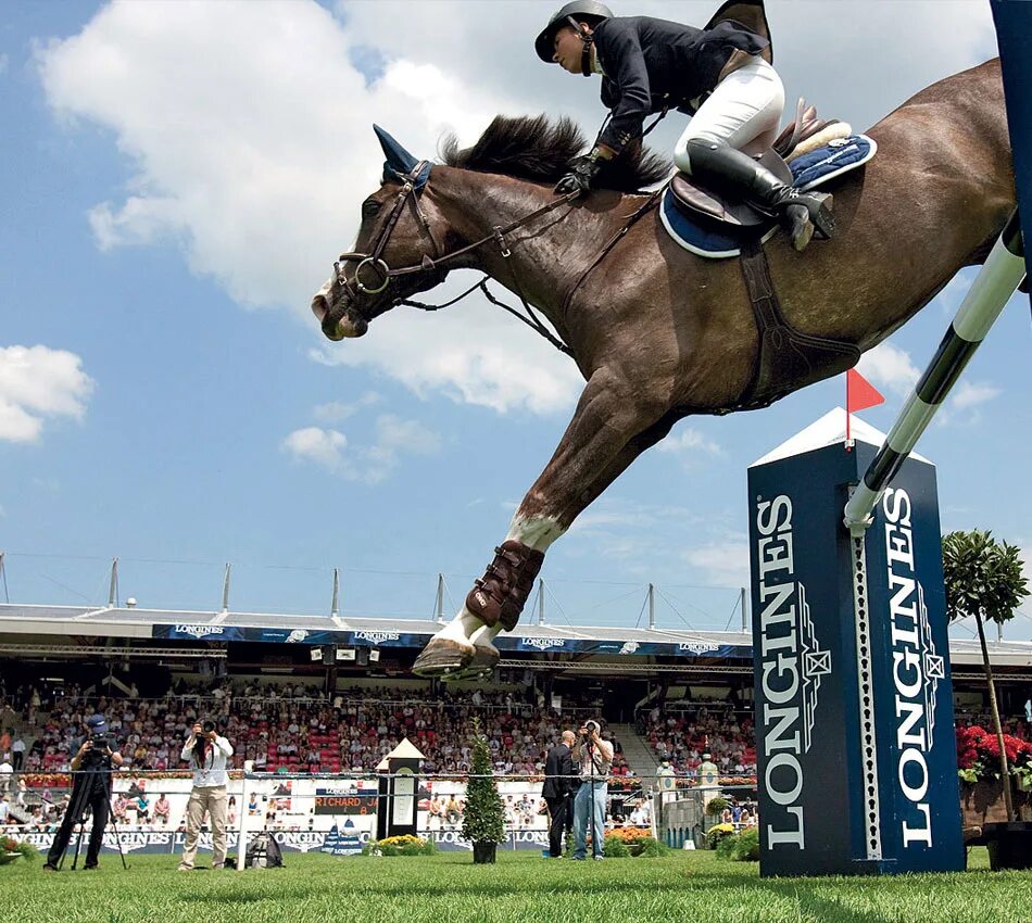 Рекорд в конкуре. Конкур рекорд. Конкур на мощность прыжка. Рекорд в конкуре на высоту. Рекорд в конкуре.