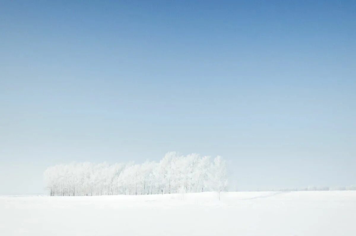 Snow coverage