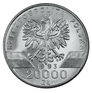 300 сколько злотых