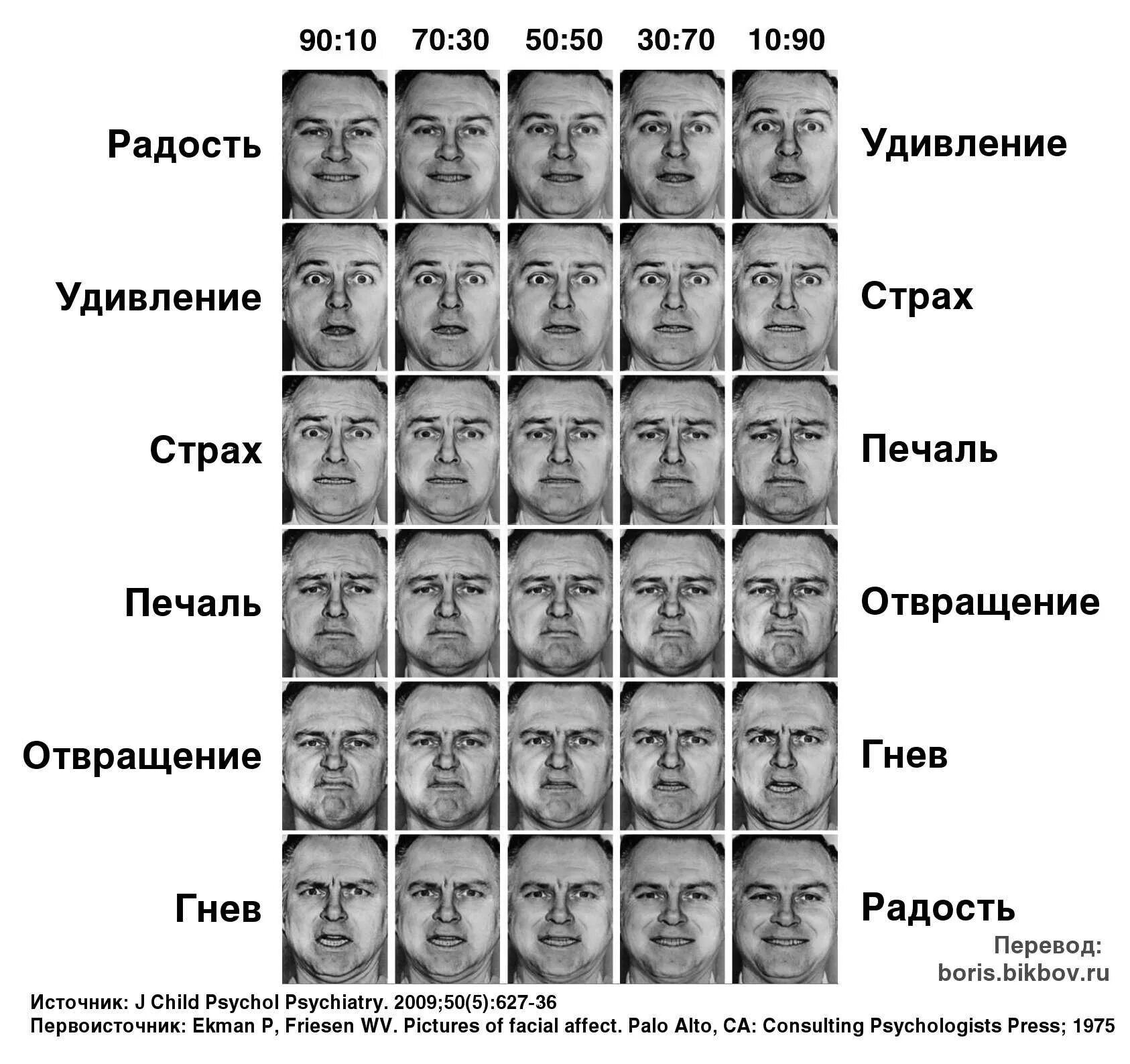 Определение уровня гнева на русском тест