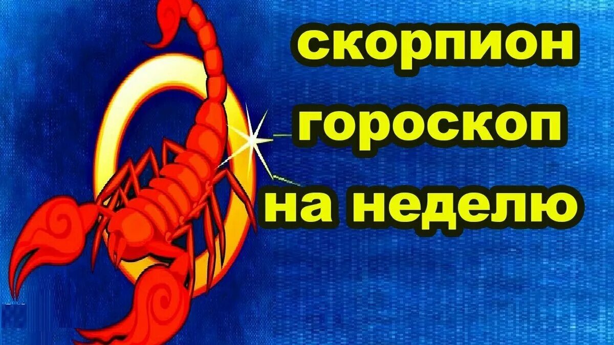 Профессия знака зодиака скорпион. Знак зодиака скорпион. гороскоп на неделю скорпион. скорпион знак зодиака июль. обозначение скорпиона зодиака.