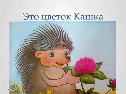 Волшебная травка зверобой