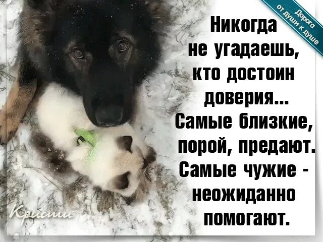 Красивые выражения про предательство. Предательство близких. Когда близкие предают читать. Когда предают самые близкие. Близкие цитаты.