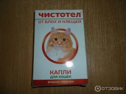 Кошка слизала капли