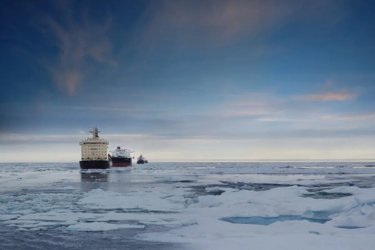 Северный морской путь. Северный морской путь в Арктике. Северный морской путь Севморпуть. Карское море Обская губа. Караван судов