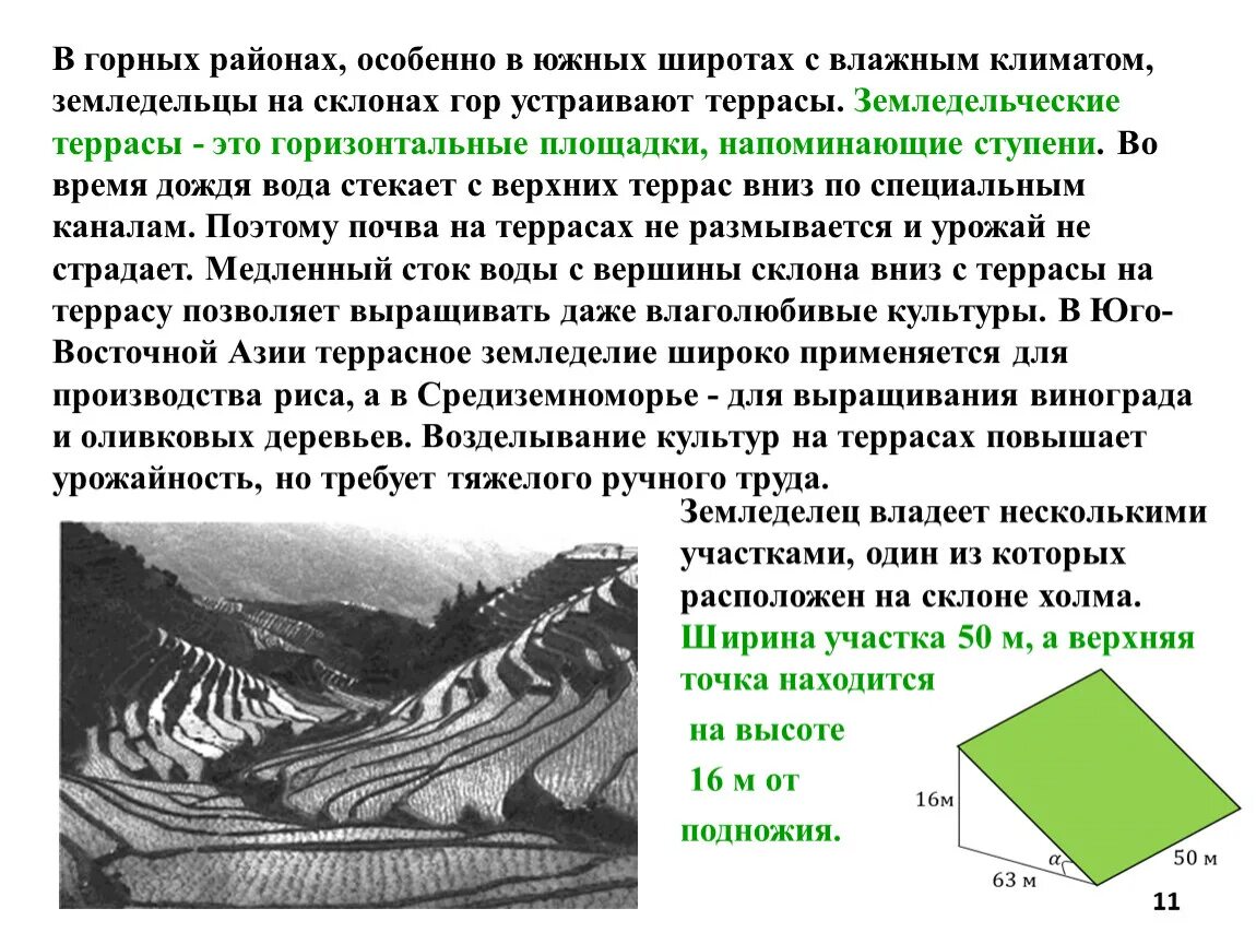 Задания с террасами. В горных районах особенно в южных широтах. Земледельческие террасы в горных районах. Задачи на террасы. В горных районах особенно в южных широтах с влажным.