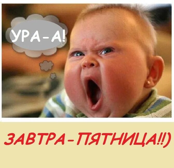 Картинки пятница закричал мозг и унес. Жду в пятницу вечером. Пятница открытка смешная. Пятница высказывания веселые. Ура пятница закричал мозг и унес.