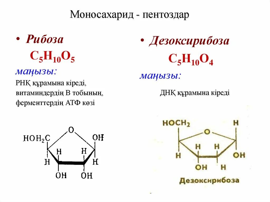 Наиболее распространенный моносахарид. Основные моносахариды формулы. Формулы моносахаридов и дисахаридов и полисахаридов. Шестиуглеродный моносахарид. Строение моносахаридов Фишера.