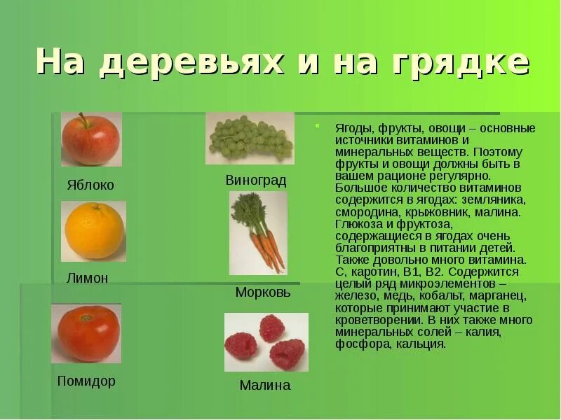 Поговорки о фруктах и овощах. Присказки про фрукты и овощи. Высказывания про овощи и фрукты. Поговорки про фрукты. Овощи и фрукты являются источником