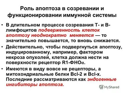 Генетический контроль процесса апоптоза
