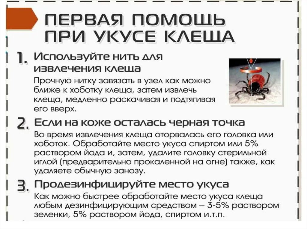 Чем обработать после удаления клеща. Чем обработать место укуса клеща. Чем обработать место присасывания клеща. Чем обработать после укуса клеща. Чем обработать место после укуса клеща.