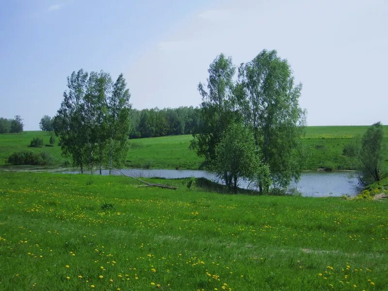 Участки в городе тула. П заокский тульская область участки земельные.
