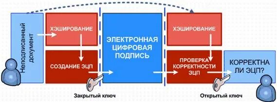 Что такое закрытый ключ электронной цифровой подписи. Открытый и закрытый ключ электронной подписи. Закрытый ключ ЭЦП. Открытый ключ электронной цифровой подписи это. Открытый ключ и закрытый ключ.