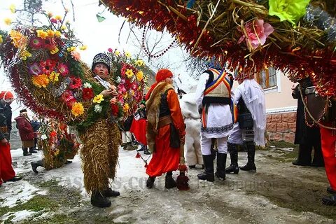 Маланка новости