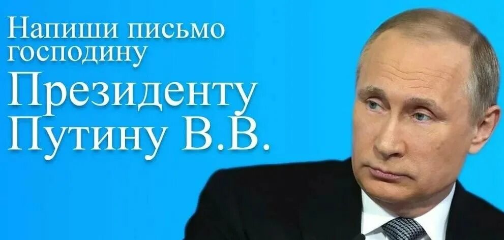 Письма путиной. Обращение к Путину. Письмо обращение президенту. Письмо Путину. Обращение к президенту Путину.