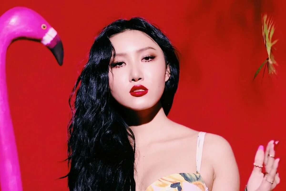 Хваса mamamoo. Mamamoo hwasa. Хваса новая песня. Мамаму хваса. Hwasa maria.