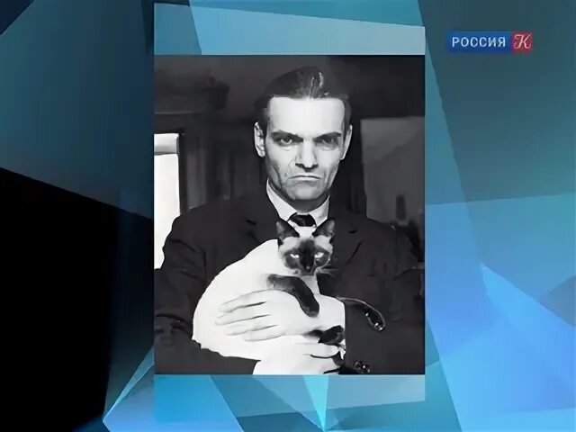Юрий кнорозов фото с котом Библиотека им.В.В.Верещагина Череповец ВКонтакте