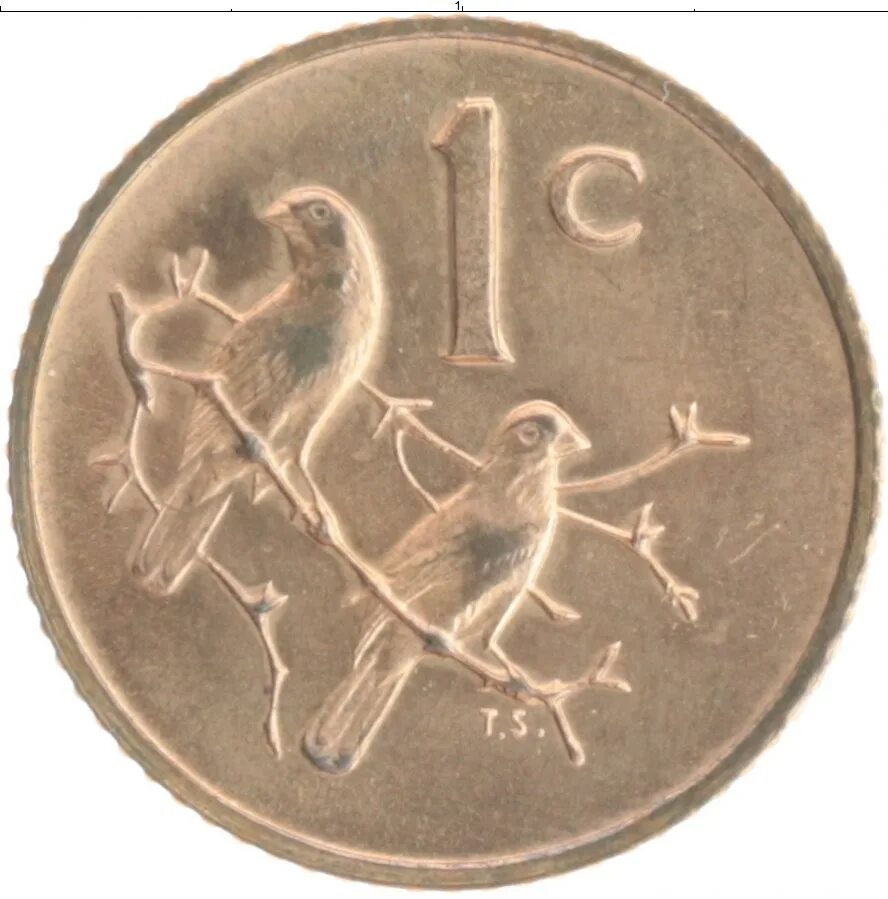 78 19 13. Южная Африка монеты 1989. Монеты ЮАР 20 центов 2010. Монета канадская 2018-200825 цент. 1 Цент ЮАР 1950.