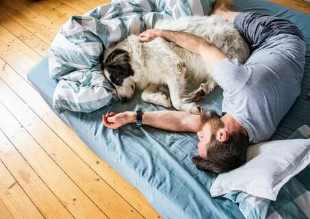Dogday x catnap sleep well