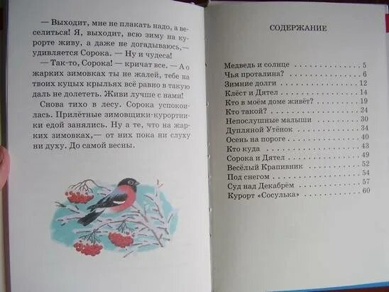 Сказка сороки читать. Н Сладков разноцветная земля. Сладков Лесные сказки содержание. Сладков Лесные сказки оглавление.