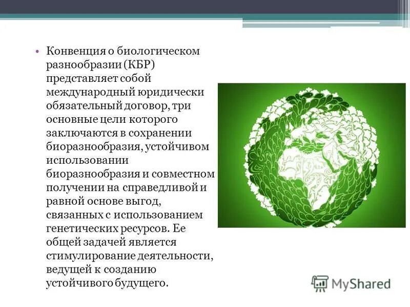Найдите конвенцию о биологическом разнообразии. Найдите конвенцию о биологическом разнообразии