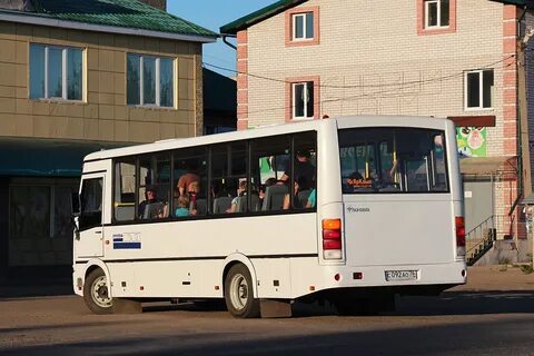 251 автобус спб