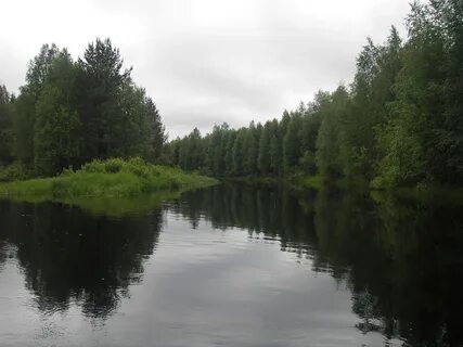 Погода кулой вельский на 14