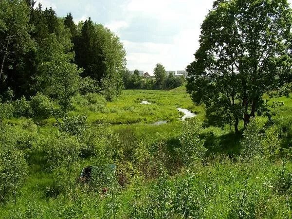 поселок новая ольховка. новая ольховка. ольховка кантри клаб. снт ольховка наро-фоминский район. новая ольховка наро-фоминский район.