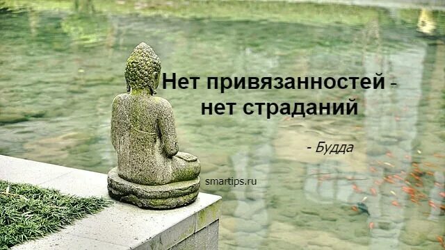 Желание страдать. Нет привязанностей нет страданий Будда. Буддизм цитаты. Будда цитаты. Афоризмы Будды.