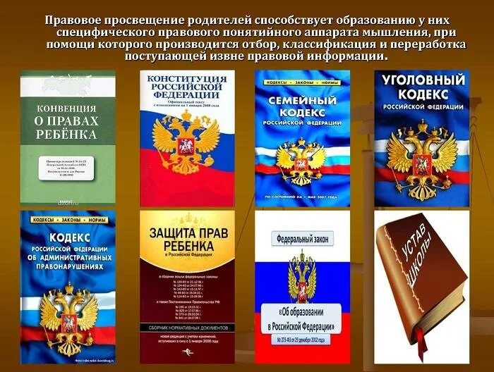 Конституционное право несовершеннолетних граждан. Правовое Просвещение несовершеннолетних.