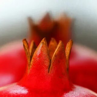 Fruit crown